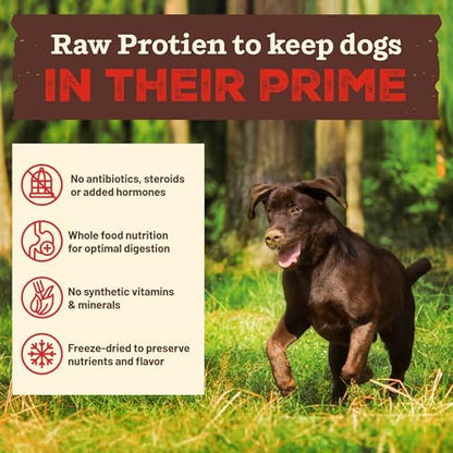 Primal Kibble in The Raw, Freeze-Dried Dog Food, Chicken, 1.5 lb