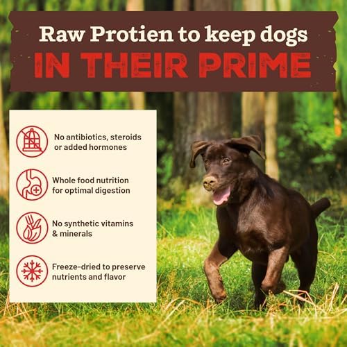 Primal Kibble in The Raw, Freeze-Dried Dog Food, Chicken, 9 lb