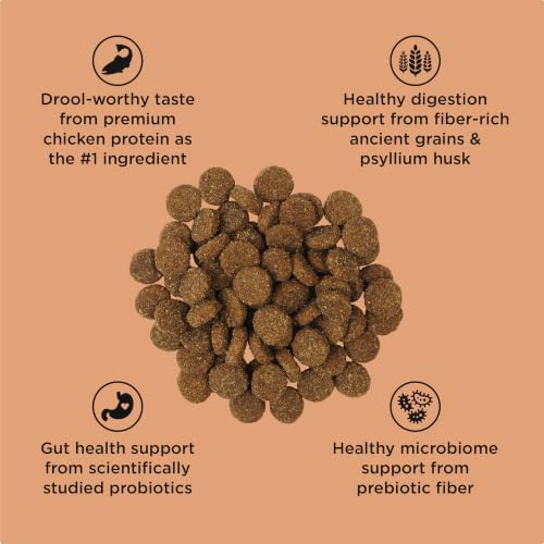 Go! Solutions Digestion + Gut Health Salmon Dry Dog Food, 12 lb