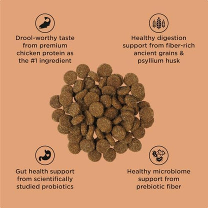 Go! Solutions Digestion + Gut Health Salmon Dry Dog Food, 12 lb