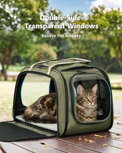 Pecute Cat Carrier,Double Bubble Pet Carrier for Cat Small Dogs,Green,XL
