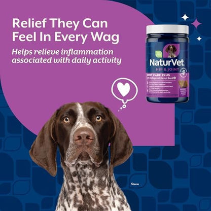 NaturVet Hip & Joint Supplement, Joint Care Plus for Dogs, 60ct
