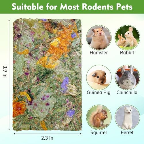 Fhiny 12 PCS Rabbit Timothy Hay Chips Toys, Natural Bunny Molar Treats with Herbal Flowers Rabbit Chew Toys for Teeth Small Animal Snacks for Rats Chinchillas Guinea Pigs Hamsters