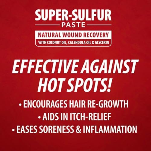 Jeffers Super Sulfur Natural Healing Paste for Dogs, Cats & Horses 8 oz – Wound Care, Skin & Coat Support for Animals, Soothes Itching & Inflammation, Dry Rough Flaky Skin, Hot Spots, Paw, Hoof Care
