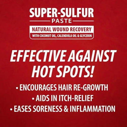 Jeffers Super Sulfur Natural Healing Paste for Dogs, Cats & Horses 8 oz – Wound Care, Skin & Coat Support for Animals, Soothes Itching & Inflammation, Dry Rough Flaky Skin, Hot Spots, Paw, Hoof Care