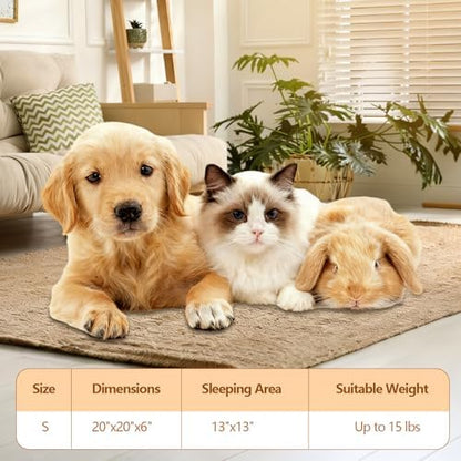 Pink, White 2 Pack Washable Cat Beds for Indoor