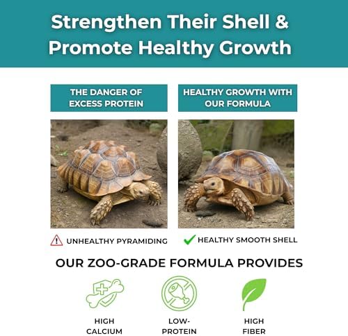 Baby Sulcata Food with Calcium - Human Grade Scientifically Formulated Diet for Healthy Growth - 4.5 oz 30-Day Supply for All Grassland Tortoises!
