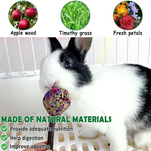 kathson 30PCS Rabbit Timothy Hay Treats Sticks,Interactive Bunny Lollipop Chew Sticks,Natural Guinea Pigs Chewing Treats Molar Teeth Toys for Small Animals,Chinchilla,Hamster,Gerbil