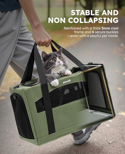 Pecute Cat Carrier Stable, Pet Carrier with Privacy Partition,Green