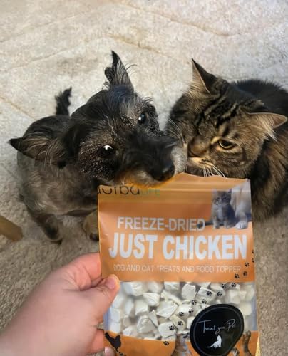 Freeze Dried Super Booster 5.1 oz (~145g) Chicken Bites, Raw-Inspired Treat Meal Topper for Both Dogs & Cats, Single-Ingredient Just Chicken Irresistible for Picky Eaters