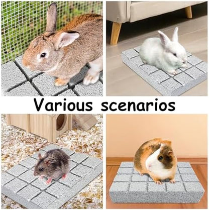 Hamiledyi 2PCS Rabbit Scratching Pads Bunny Lava Grinding Claw Pads Small Animal Foot Pads Hamster Scratch Board Chew Toys for Gerbil Chinchilla Hedgehog Guinea Pig Cage Accessories