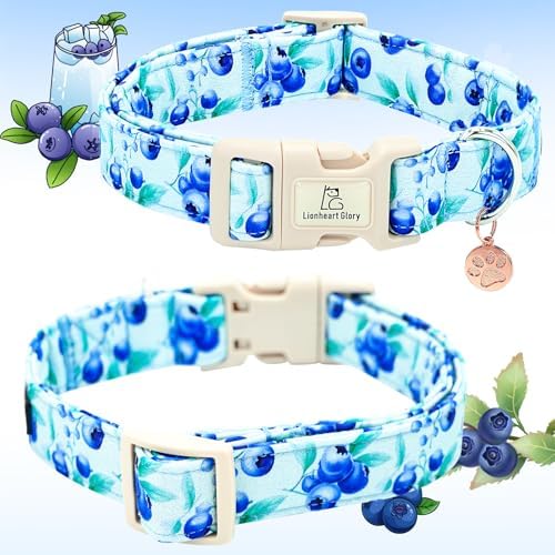 Lionheart glory Dog Collar Blueberries Print Collar for Medium Dogs Spring Summer Female or Male Collars Pets Gift Adjustable Heavy-Duty Cute Pet Collars