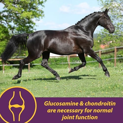 Horse Health Joint Combo Classic, An Unbeatable Joint Combination Supplement for Horses, Cinnamon Apple 8 Pounds