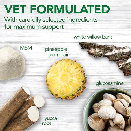 Vet's Best Dog Pain Relief Supplement, Dog Aspirin Alternative, 150 ct