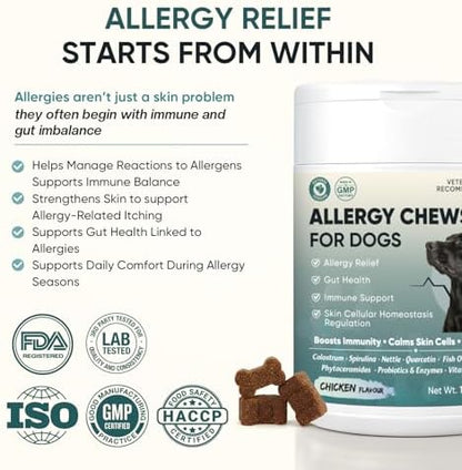 Dog Allergy Chews 200ct - Dog Allergy Itching Skin Paws Immune Relief Bites