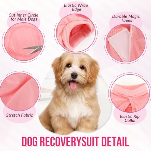 Lukovee Recovery Suit for Dogs, Onesie Spay Neuter Surgery Suit Female Male