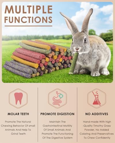 Bissap 72 PCS Rabbit Chew Sticks, Natural Timothy Hay Pumpkin Sugar Beet Carrot Strawberry Rose Dahlberg Daisy Forget-me-not Flower Treat for Bunny Chinchilla Guinea Pig Hamster Small Pet Molar Snack