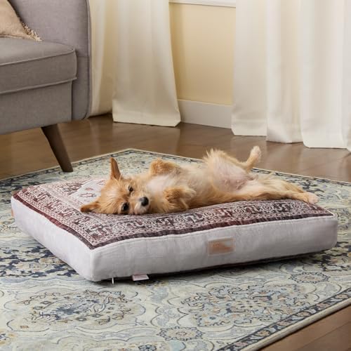 Town & Country Everyday CuddleTown Medallion Everwash® Pillow Pet Bed, Water Repellent Floor Pillow, Machine Washable Cover, Soft & Calming, Red/Greige, Small 28"x22"x4"