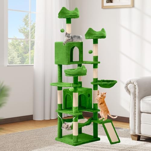 DWVO 75 in Multi‑Level Cat Tower