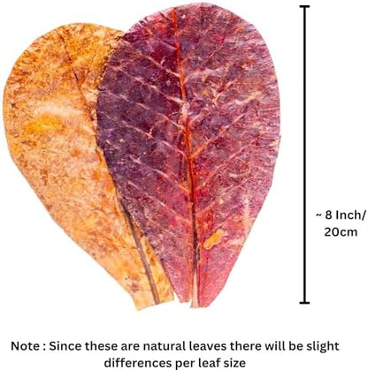 Leaf Litter for Snakes – 30 Pcs Indian Almond Catappa Leaves 8" for Reptile Tanks, Corn Snake & Ball Python, Natural Bioactive Vivarium Substrate, Terrarium Bedding & Habitat Decor