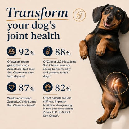 Zubest Hip & Joint Supplement for Dogs, Glucosamine Chondroitin MSM Powder