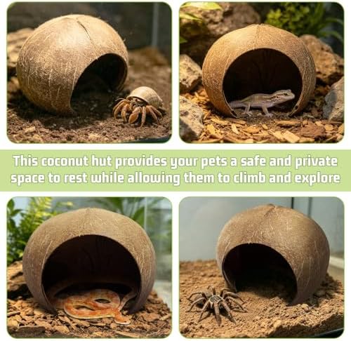 PINVNBY Large Natural Coconut Reptile Hideouts Lizard, Coco Hut Hermit Crab Hut Aquarium Fish Hide Cave for Small Reptile Crested Gecko Leopard Gecko Spider Snail Climber Toys