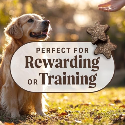 Merrick Power Bites Real Chicken Recipe Dog Treats, 6 oz Bag