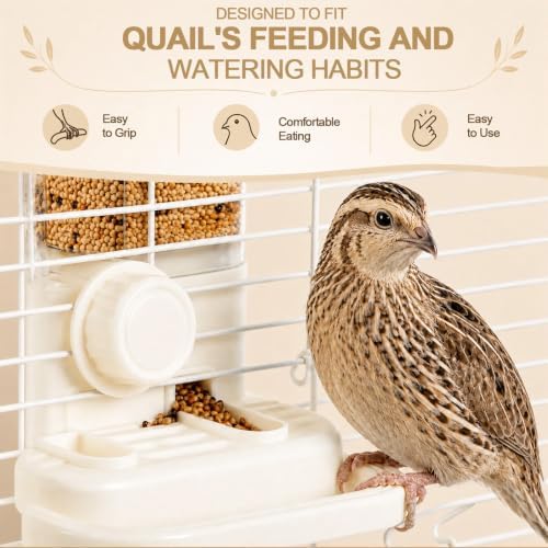 2-in-1 Quail Feeder and Waterer for Cage, Gravity Auto Bird Water Feeder