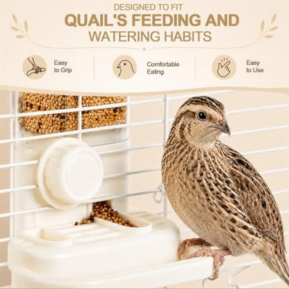 2-in-1 Quail Feeder and Waterer for Cage, Gravity Auto Bird Water Feeder