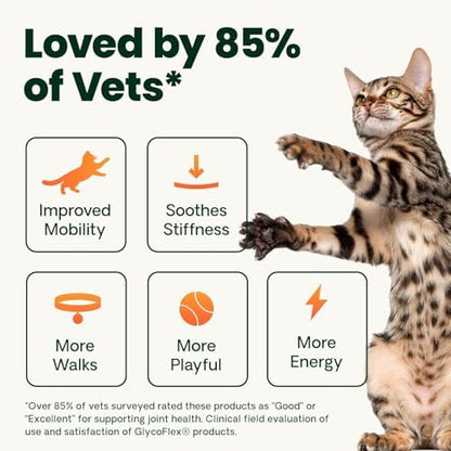 VetriScience Ultimate Strength Hip and Joint Powder for Cats, 60 Scoops