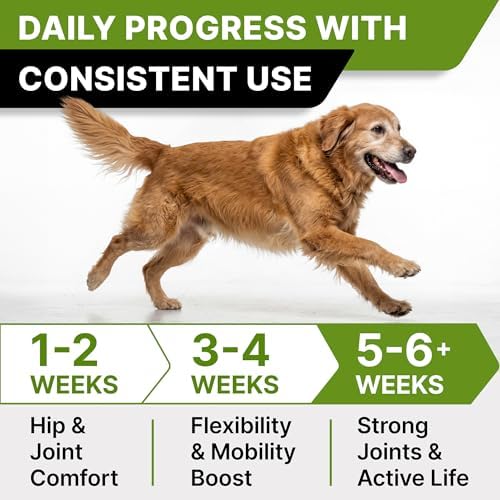 STRELLALAB Advanced Glucosamine for Dogs, Chondroitin MSM Joint Supplement