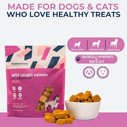 Momentum Carnivore Nutrition Freeze-Dried Wild-Caught Salmon Dog Treats & Cat Treats – Single-Ingredient, High-Protein, Grain-Free, Natural Source of Omega-3s – Made in USA – 3 oz Bag