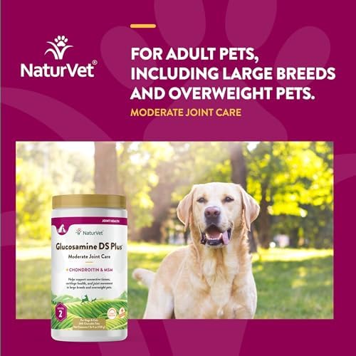 NaturVet Moderate Joint Care with Chondroitin & MSM, Dogs & Cats, 240ct