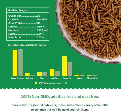 Dried Black Soldier Fly Larvae Treats for Chickens Wild Birds Ducks 10LB