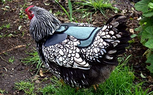 DOWN UNDER OUTDOORS Medium-Large Chicken Saddle Hen Apron Saver (Green)