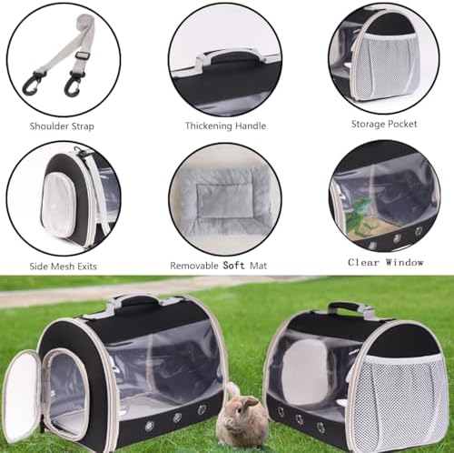 Bearded Dragon Travel Carrier Backpack,Lizard Backpack Carrier,Space Capsule Clear Bubble Window Astronaut Reptile Carrier Backpack for Guinea Pig,Sugar Glider,Bunny (Green, TPU Carrier+MAT)