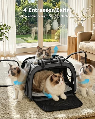 Pecute Cat Carrier,Double Bubble Pet Carrier for Cat Small Dogs,Gray,L