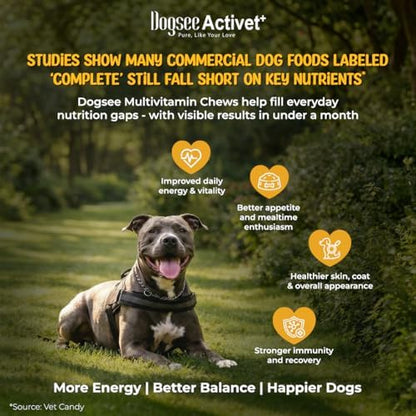 Dogsee Activet+ Dog 12 in 1 Multivitamin Supplement Chews, with Vitamins, Minerals, Probiotics, Omega 3 & Glucosamine for Overall Dog Health, Chicken Flavor – 90 Chews