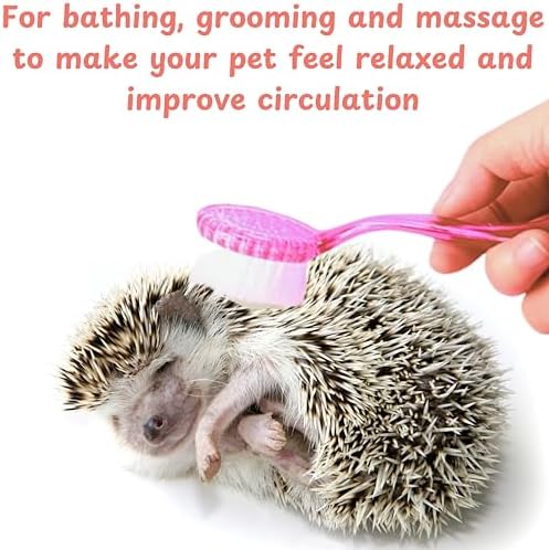 Hedgehog Toe Nail Clippers and Comb Set, 2 Pcs Hedgehog Soft Cleansing Brush and Toenail Clipper with Magnifier, Hedgehogs Massage Combs and Small Nail Clippers, Small Pet Grooming Supplies (Pink)
