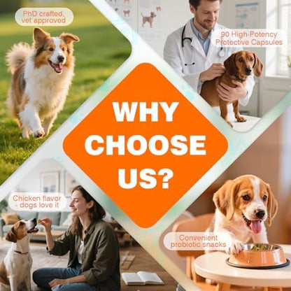Probiotics for Dogs Dog Probiotics for Digestive Health Probiotic for Dogs Gut Health Itchy Skin Dog Probiotics for Diarrhea Dog Constipation Relief Gas for Dogs Immune Support Chicken Flavor 90ct