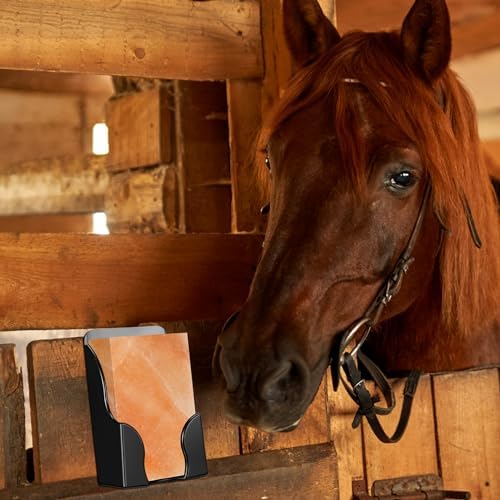 Yousoontic 2 Pcs Salt Block Holder for Horses Wall Mounted Plastic Stand