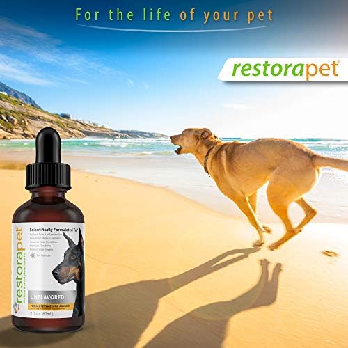 RestoraPet 1-Pack Dog & Cat Beef Liquid Multivitamin | Dog Arthritis Pain Relief | Hip & Joint Vitamins for Dogs - Anti Inflammatory Supplement for Dogs & Cats | Natural & Non-GMO, Vet Approved