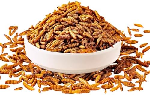 MTART 5LB Dried Black Soldier Fly Larvae Chicken Feed, 100% Natural Non-GMO More Calcium Than Dried Mealworms, High Protein Chicken Treat for Layer Hens, Birds, Ducks
