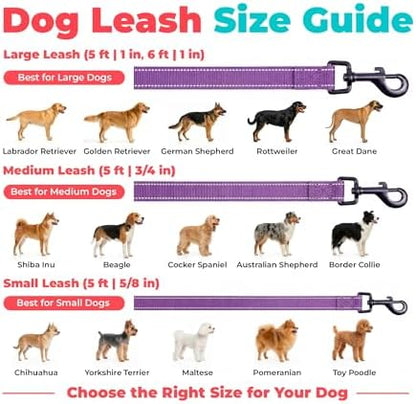 Best Pet Supplies Voyager Nylon Dog Leash - Purple, Small