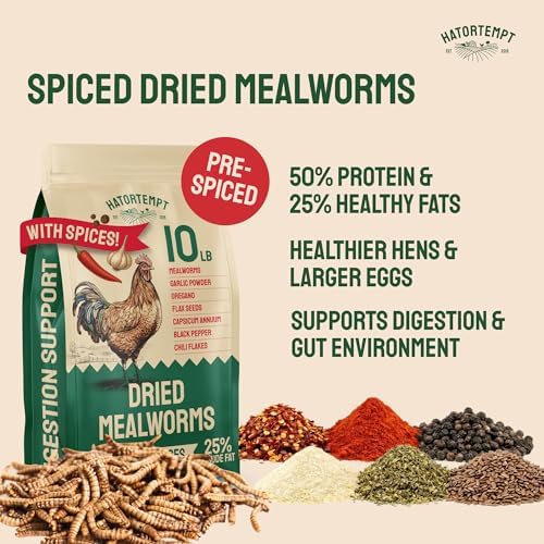 Hatortempt 10lb Dried Mealworms with Digestive Spice Mix for Chickens