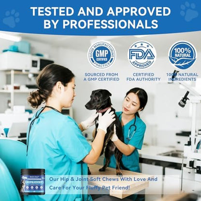Biotic’s Gain Dog Joint Supplement | Glucosamine for Dogs | 120 Soft Chews