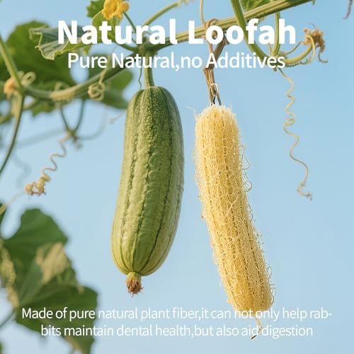 BESNEW Rabbit Chew Toys,100% Natural Loofah Without Additives,Bunny Chew Toys for Teeth,Fiber-Rich Rabbit Treats for Bunny Chinchilla Dogs