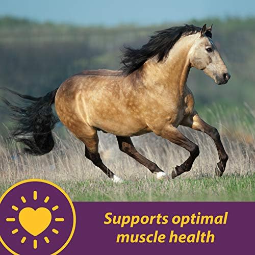 Horse Health Vita E & Selenium Crumbles Vitamin & Mineral Supplement, 20 lb