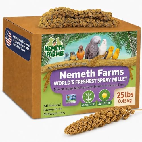 Nemeth Farms Spray Millet for Birds - Natural Non-GMO Millet Treat for Parakeets, Cockatiels & Parrots - 25 lb