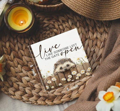 Hedgehog Wooden Box Sign -Rustic Farmhouse Live Like Someone Left the Gate Open Signs for Home Decor, Farm Cottagecore Animal Office Kitchen Bedroom Decor, Hedgehog Gifts for Women, 5x5